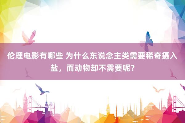 伦理电影有哪些 为什么东说念主类需要稀奇摄入盐，而动物却不需要呢？