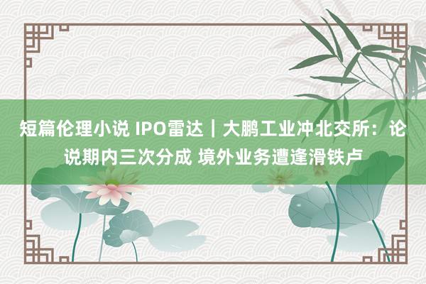 短篇伦理小说 IPO雷达｜大鹏工业冲北交所：论说期内三次分成 境外业务遭逢滑铁卢