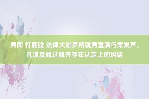 男同 打屁股 法律大咖罗翔就男童骑行案发声，凡波及罪过罪齐存在认定上的纠结