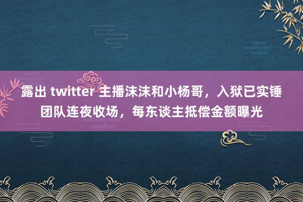 露出 twitter 主播沫沫和小杨哥，入狱已实锤团队连夜收场，每东谈主抵偿金额曝光