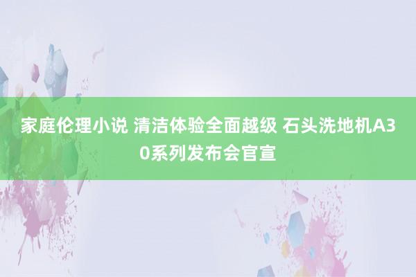 家庭伦理小说 清洁体验全面越级 石头洗地机A30系列发布会官宣