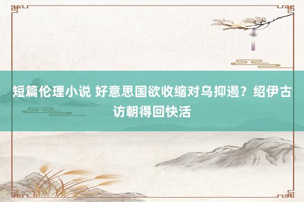 短篇伦理小说 好意思国欲收缩对乌抑遏？绍伊古访朝得回快活