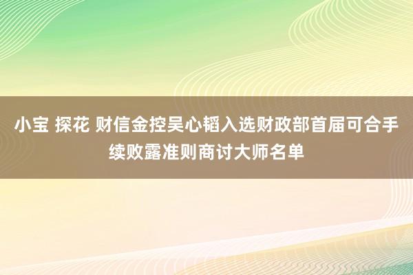 小宝 探花 财信金控吴心韬入选财政部首届可合手续败露准则商讨大师名单