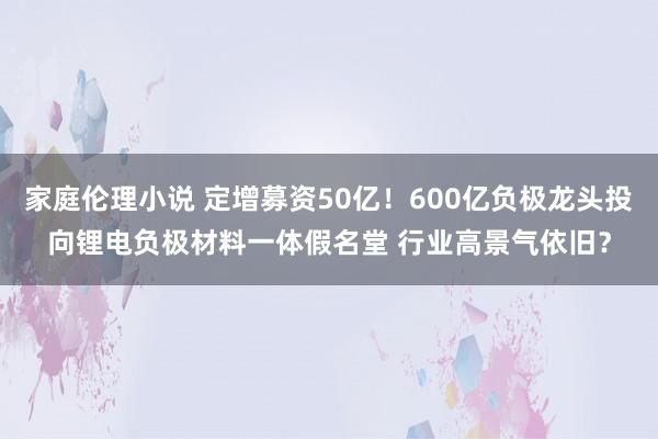 家庭伦理小说 定增募资50亿！600亿负极龙头投向锂电负极材料一体假名堂 行业高景气依旧？