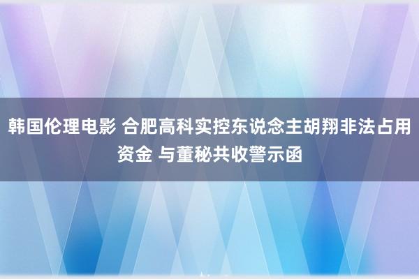 韩国伦理电影 合肥高科实控东说念主胡翔非法占用资金 与董秘共收警示函