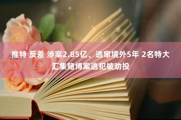 推特 反差 涉案2.85亿、逃窜境外5年 2名特大汇集赌博案逃犯被劝投