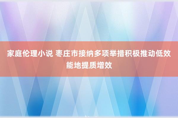 家庭伦理小说 枣庄市接纳多项举措积极推动低效能地提质增效