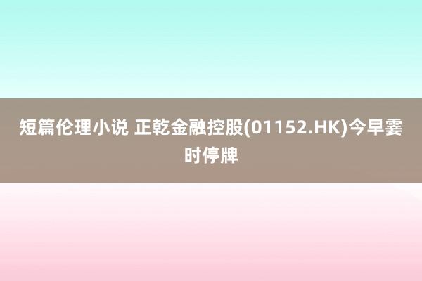 短篇伦理小说 正乾金融控股(01152.HK)今早霎时停牌