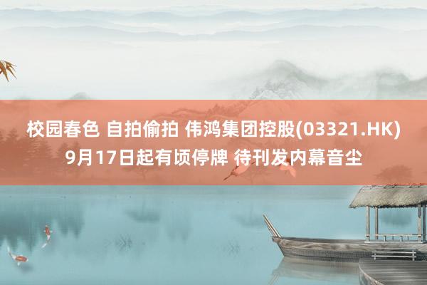 校园春色 自拍偷拍 伟鸿集团控股(03321.HK)9月17日起有顷停牌 待刊发内幕音尘