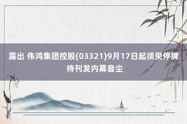 露出 伟鸿集团控股(03321)9月17日起须臾停牌 待刊发内幕音尘