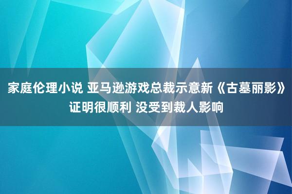 家庭伦理小说 亚马逊游戏总裁示意新《古墓丽影》证明很顺利 没受到裁人影响