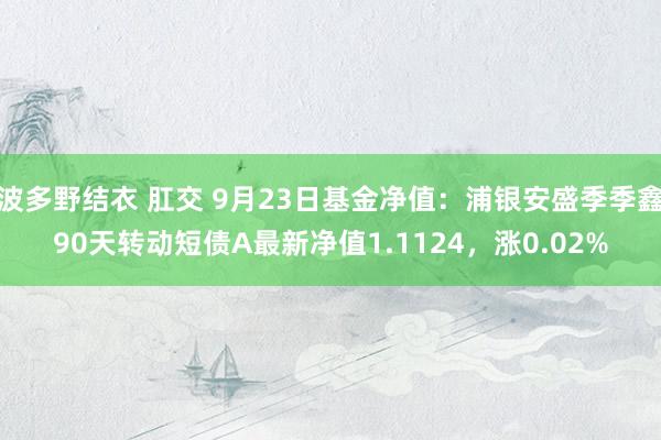 波多野结衣 肛交 9月23日基金净值：浦银安盛季季鑫90天转动短债A最新净值1.1124，涨0.02%