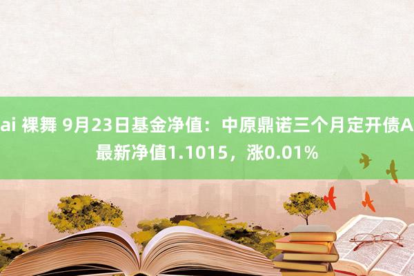 ai 裸舞 9月23日基金净值：中原鼎诺三个月定开债A最新净值1.1015，涨0.01%