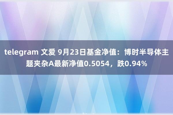 telegram 文爱 9月23日基金净值：博时半导体主题夹杂A最新净值0.5054，跌0.94%