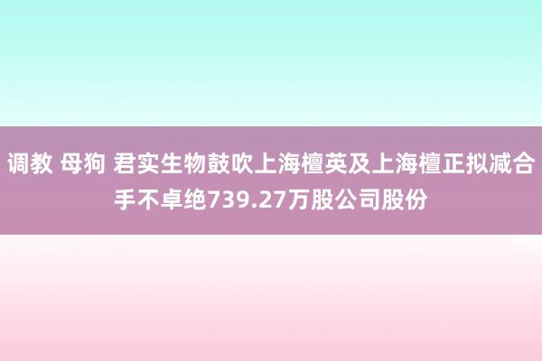 调教 母狗 君实生物鼓吹上海檀英及上海檀正拟减合手不卓绝739.27万股公司股份