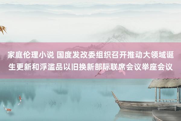 家庭伦理小说 国度发改委组织召开推动大领域诞生更新和浮滥品以旧换新部际联席会议举座会议