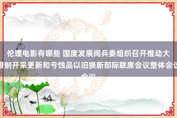 伦理电影有哪些 国度发展阅兵委组织召开推动大限制开采更新和亏蚀品以旧换新部际联席会议整体会议