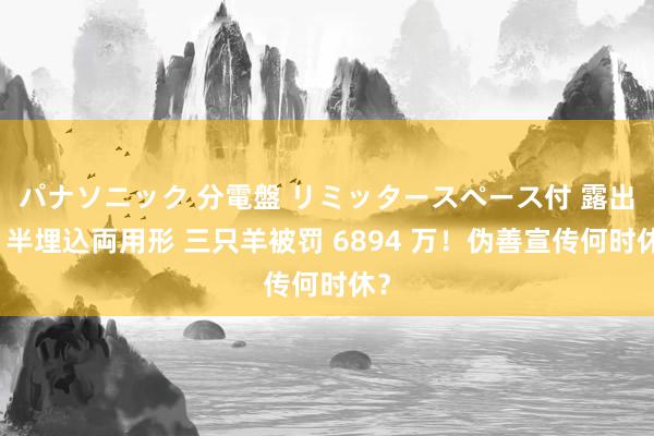 パナソニック 分電盤 リミッタースペース付 露出・半埋込両用形 三只羊被罚 6894 万！伪善宣传何时休？