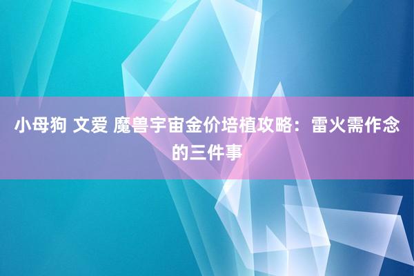 小母狗 文爱 魔兽宇宙金价培植攻略：雷火需作念的三件事