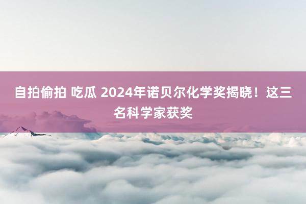 自拍偷拍 吃瓜 2024年诺贝尔化学奖揭晓！这三名科学家获奖