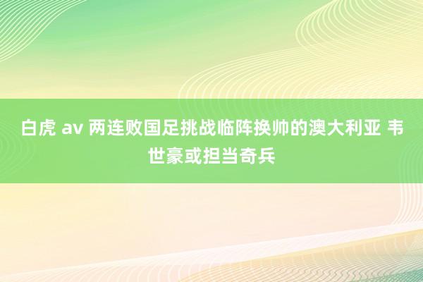 白虎 av 两连败国足挑战临阵换帅的澳大利亚 韦世豪或担当奇兵