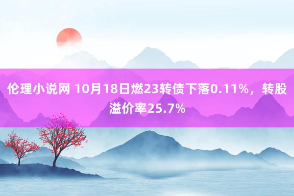 伦理小说网 10月18日燃23转债下落0.11%，转股溢价率25.7%