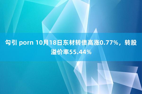 勾引 porn 10月18日东材转债高涨0.77%，转股溢价率55.44%