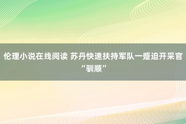 伦理小说在线阅读 苏丹快速扶持军队一蹙迫开采官“驯顺”