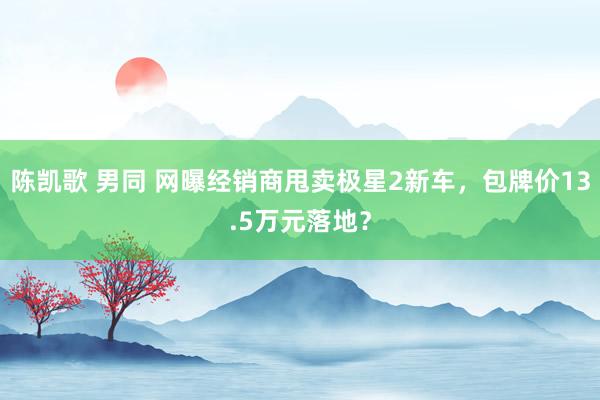 陈凯歌 男同 网曝经销商甩卖极星2新车，包牌价13.5万元落地？