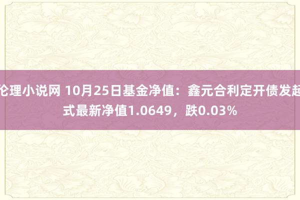 伦理小说网 10月25日基金净值：鑫元合利定开债发起式最新净值1.0649，跌0.03%