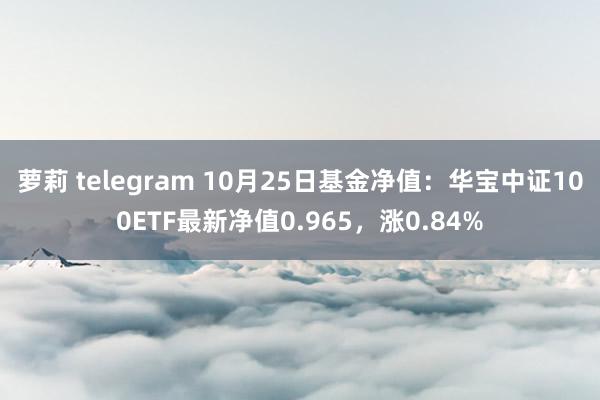 萝莉 telegram 10月25日基金净值：华宝中证100ETF最新净值0.965，涨0.84%