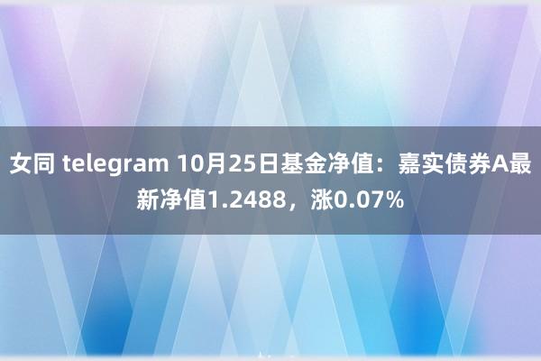 女同 telegram 10月25日基金净值：嘉实债券A最新净值1.2488，涨0.07%