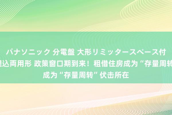 パナソニック 分電盤 大形リミッタースペース付 露出・半埋込両用形 政策窗口期到来！租借住房成为“存量周转”伏击所在