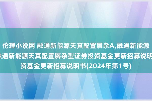 伦理小说网 融通新能源天真配置羼杂A，融通新能源天真配置羼杂C: 融通新能源天真配置羼杂型证券投资基金更新招募说明书(2024年第1号)