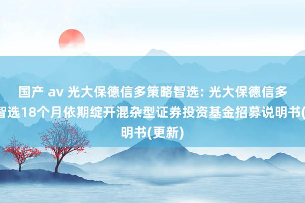 国产 av 光大保德信多策略智选: 光大保德信多策略智选18个月依期绽开混杂型证券投资基金招募说明书(更新)