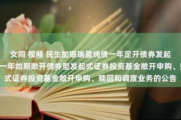 女同 视频 民生加银瑞盈纯债一年定开债券发起式: 民生加银瑞盈纯债一年如期敞开债券型发起式证券投资基金敞开申购、赎回和调度业务的公告