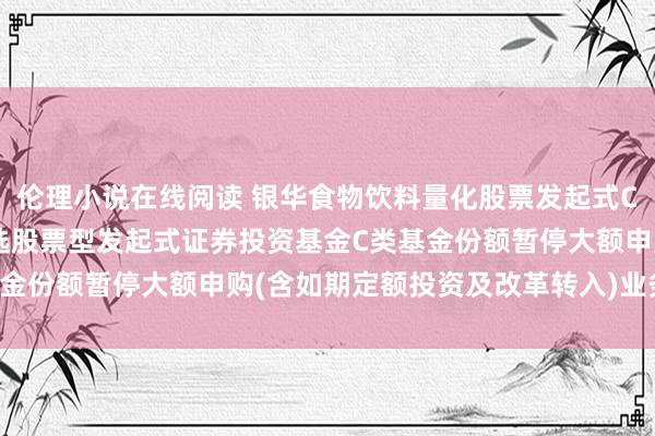 伦理小说在线阅读 银华食物饮料量化股票发起式C: 银华食物饮料量化优选股票型发起式证券投资基金C类基金份额暂停大额申购(含如期定额投资及改革转入)业务的公告