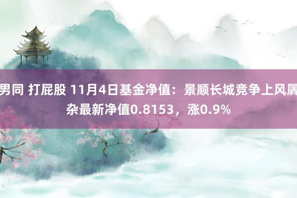 男同 打屁股 11月4日基金净值：景顺长城竞争上风羼杂最新净值0.8153，涨0.9%