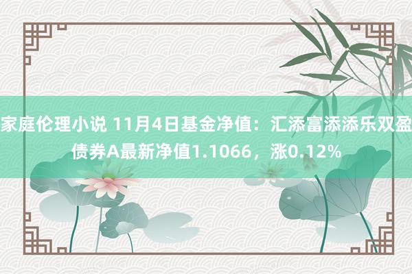 家庭伦理小说 11月4日基金净值：汇添富添添乐双盈债券A最新净值1.1066，涨0.12%