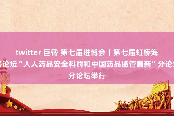 twitter 巨臀 第七届进博会丨第七届虹桥海外经济论坛“人人药品安全科罚和中国药品监管翻新”分论坛举行