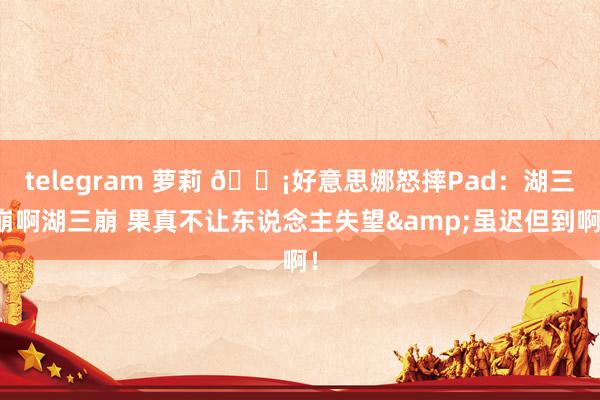 telegram 萝莉 😡好意思娜怒摔Pad：湖三崩啊湖三崩 果真不让东说念主失望&虽迟但到啊！