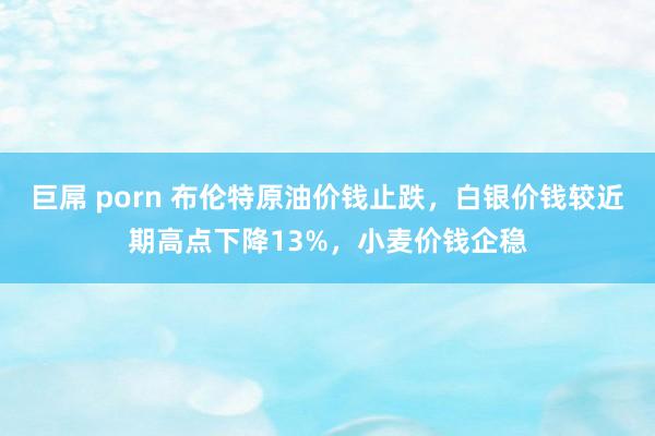 巨屌 porn 布伦特原油价钱止跌，白银价钱较近期高点下降13%，小麦价钱企稳