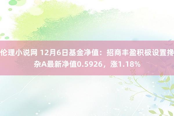 伦理小说网 12月6日基金净值：招商丰盈积极设置搀杂A最新净值0.5926，涨1.18%