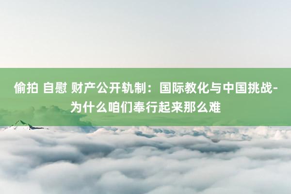 偷拍 自慰 财产公开轨制：国际教化与中国挑战-为什么咱们奉行起来那么难